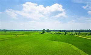 2023进出口贸易行业现状与市场发展前景趋势分析(图4)