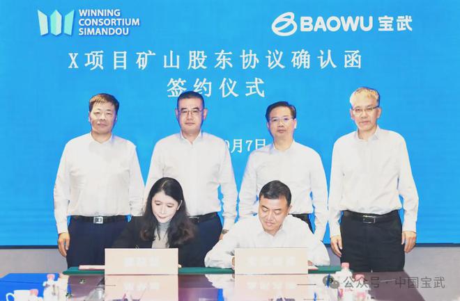 中国宝武入局全球最大铁矿项目即将大量造船买船!?(图2)