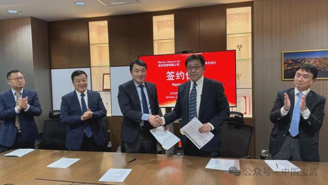 中国宝武入局全球最大铁矿项目即将大量造船买船!?(图8)