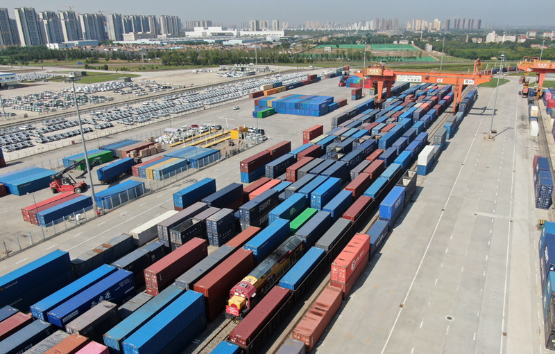 中欧班列中药材原料专列抵达西安(图12)