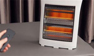 J9九游会：中国散货船行业发展现状及供需趋势分析(图2)