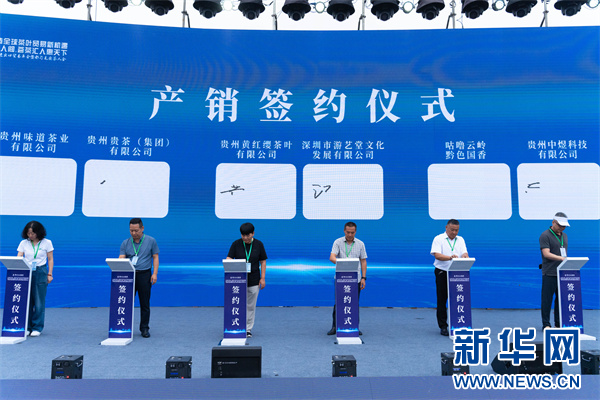 2024第七届中国茶叶进出口贸易年会暨都匀毛尖茶人会开幕(图3)