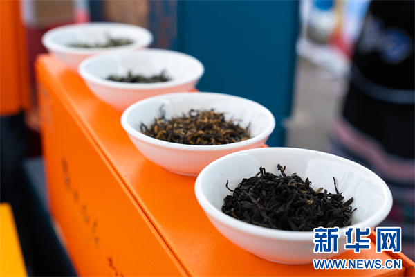 2024第七届中国茶叶进出口贸易年会暨都匀毛尖茶人会开幕(图2)