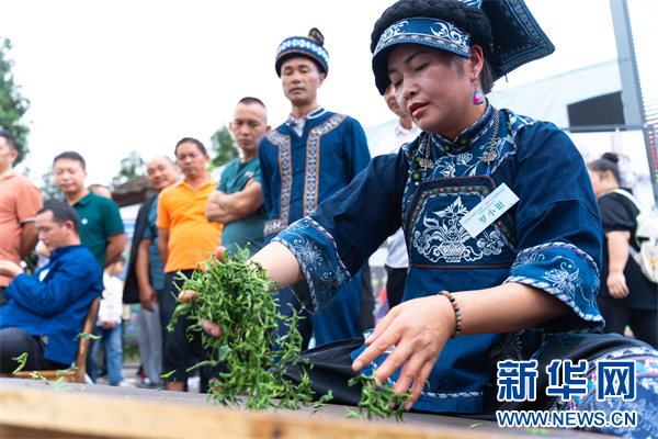 2024第七届中国茶叶进出口贸易年会暨都匀毛尖茶人会开幕(图4)