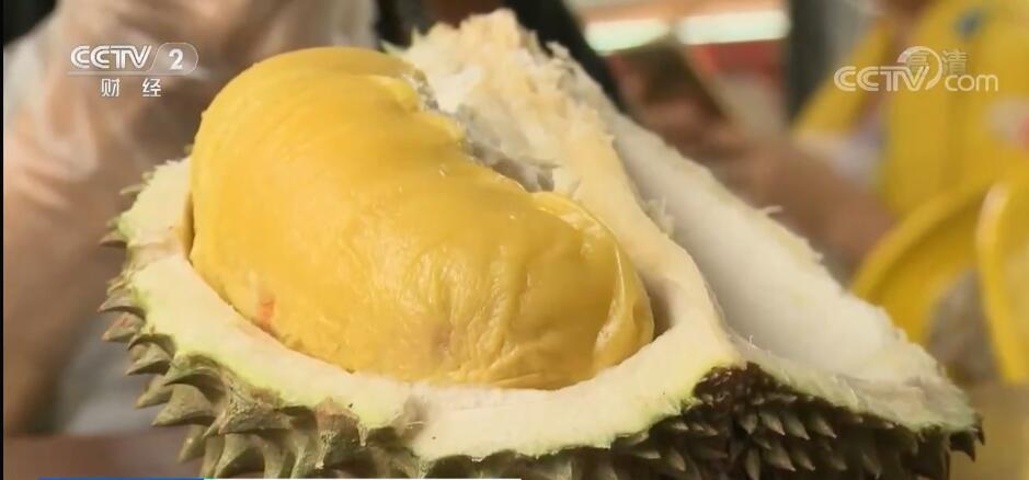 九游会J9：结构优化稳中提质对外贸易连续迈上新台阶(图2)