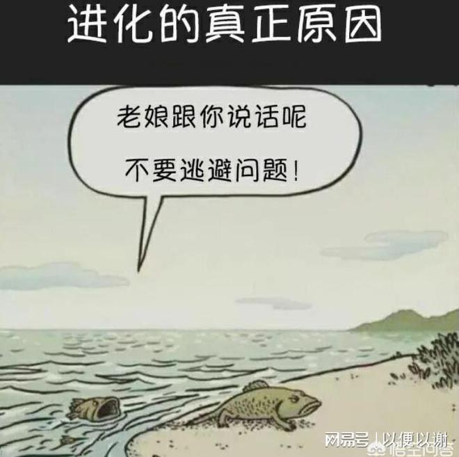 跨越时空的贸易桥梁—第137届与138届进出口商品交易会（广交会）(图2)