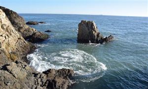 2023干散货运输行业发展分析与投资前景预测报告(图6)