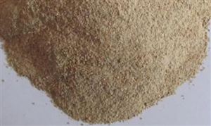 海洋运输行业报告中国海洋运输行业深度分析及未来展望(图3)