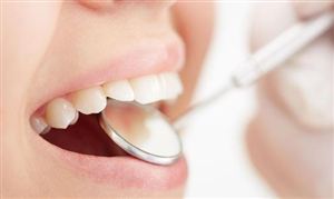 海洋运输行业报告中国海洋运输行业深度分析及未来展望(图6)