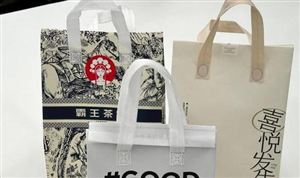 2024干散货船市场供需情况与市场发展前景趋势(图5)