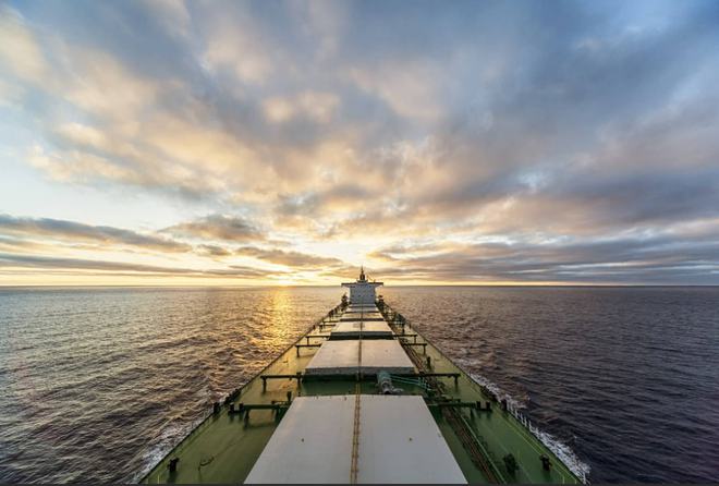 2021年干散货运价指数走势“实际与理论完美一致”丨航运界(图3)