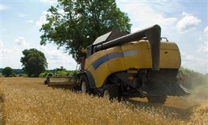 2023年中国干散货运输行业市场现状、行业需求趋势及企业竞争分析(图3)