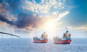 2023年中国干散货运输行业市场现状、行业需求趋势及企业竞争分析(图5)