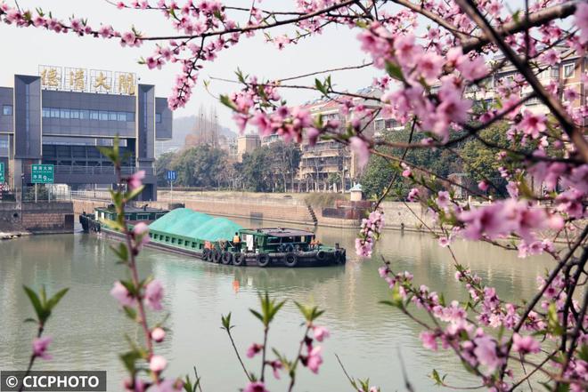 货物运输忙(图4)