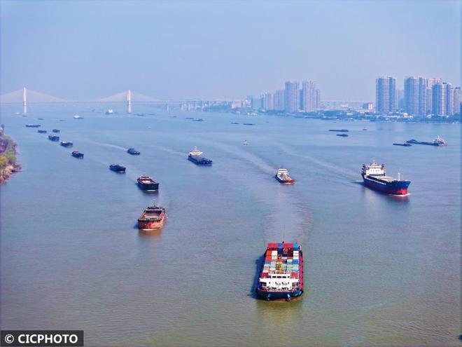 货物运输忙(图5)