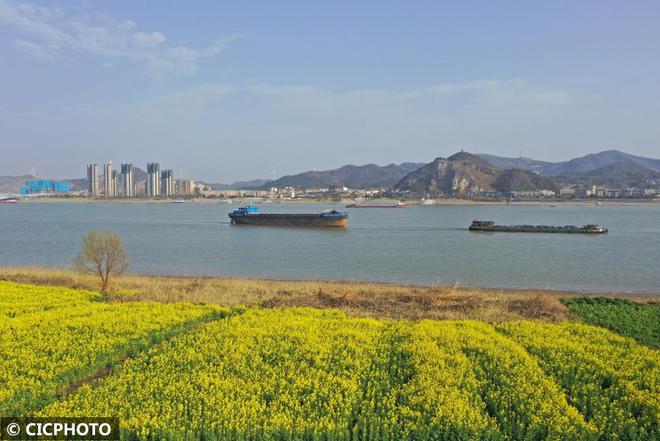 货物运输忙(图7)