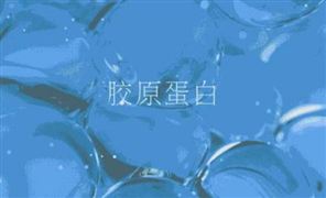 J9九游会：2020年进出口贸易行业市场现状及发展前景趋势分析研究报告(图11)