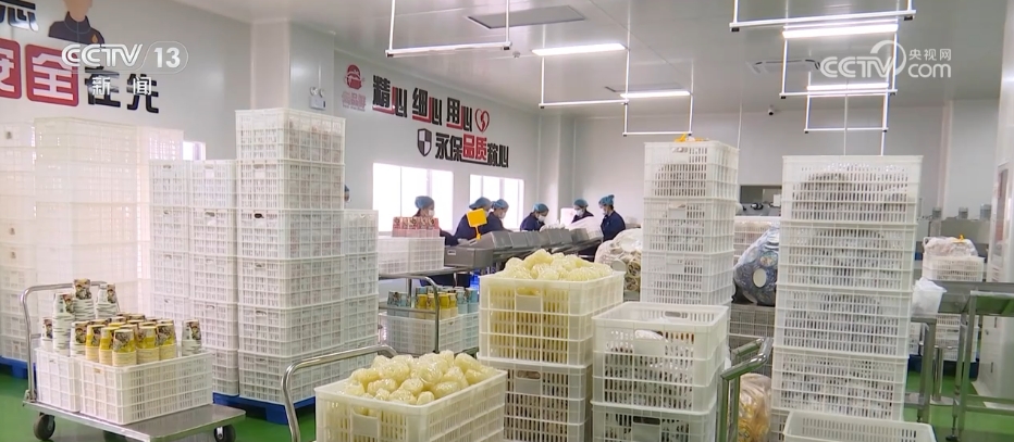 九游会J9：3233万亿元、同比增53%从前三季度外贸数据透视中国经济发展亮点(图10)