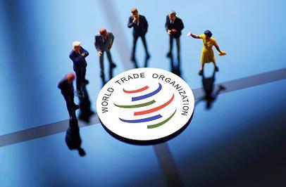 保障措施会对我国牛肉进出口贸易产生怎样的影响(图3)