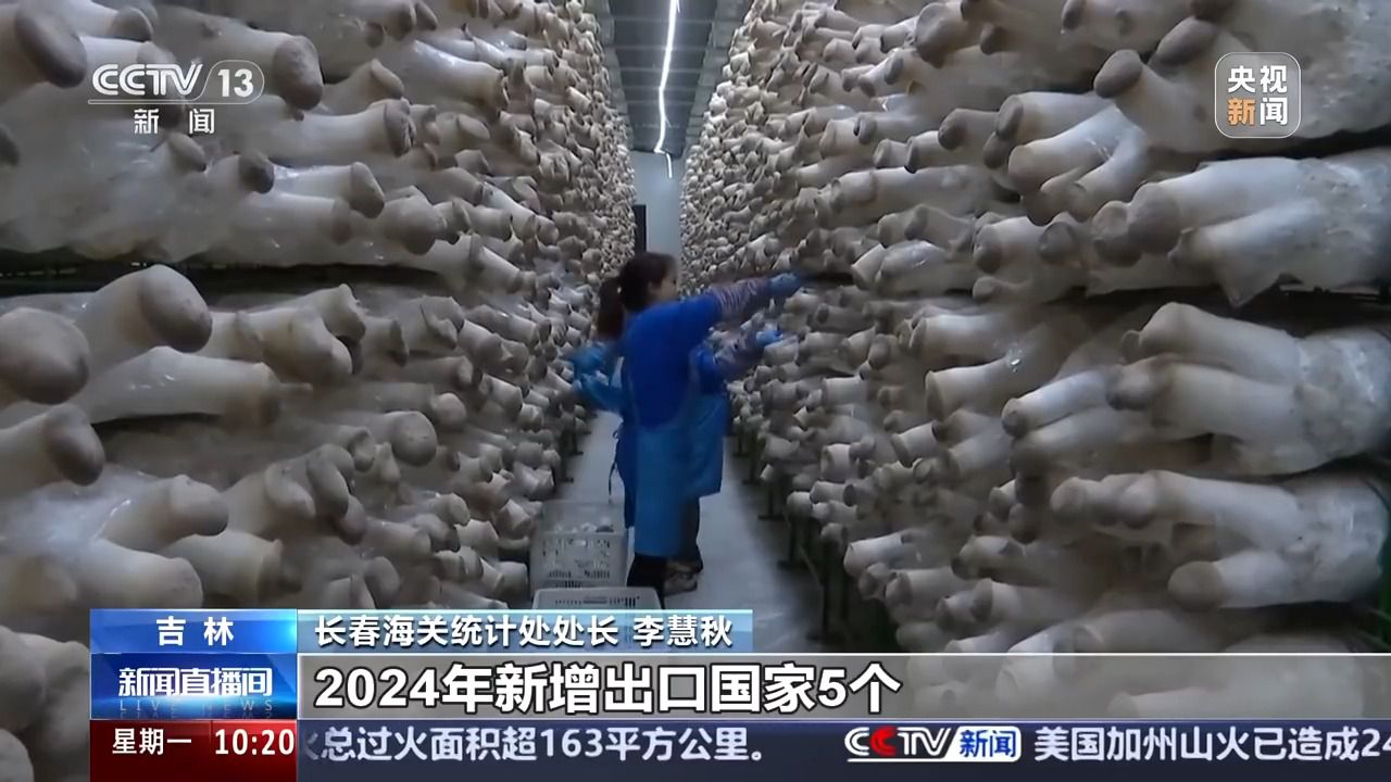 九游会J9:连续八年第一!我国货物贸易进出口规模创历史新高(图4)