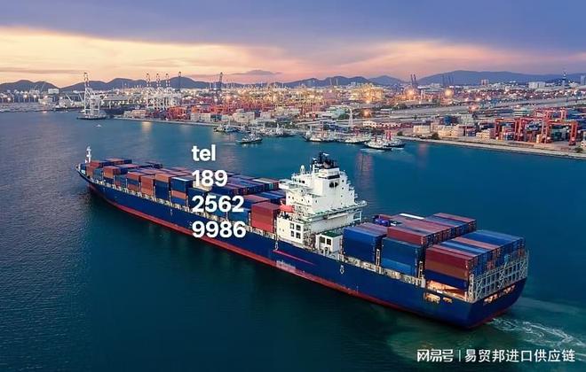 鱼胶花胶进口清关流程及注意事项(图3)