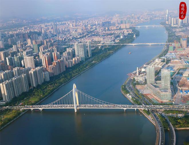 2024年前三季度城市进出口总额深圳超越上海金华冲进前十(图7)