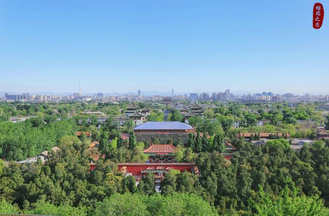 2024年前三季度城市进出口总额深圳超越上海金华冲进前十(图4)