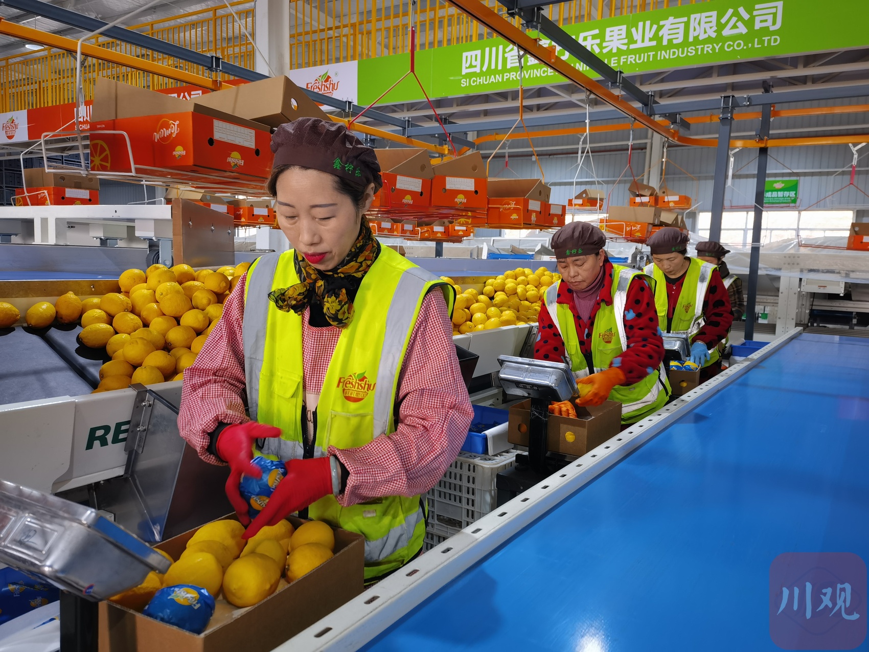 九游会J9：去年26种特色农产品首次出口——探索微改革天府农品加速出海丨奋力谱写中国式现代化四川新篇章(图2)