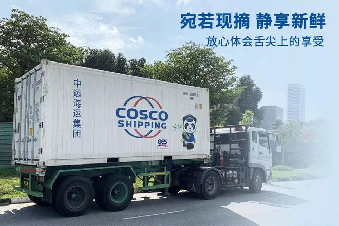 2021年中国水运物流上市公司榜：中远海控最赚中远海能最悲(图2)