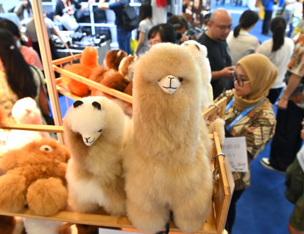 我国外贸“朋友圈”越来越大2024年外贸表现亮眼(图2)