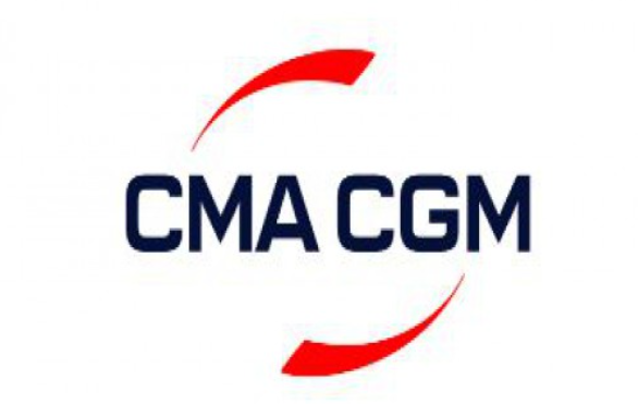 九游会J9：绿醇消纳情报：全球300艘绿色甲醇船分属哪些船东每家绿醇年需求是多少？(图8)