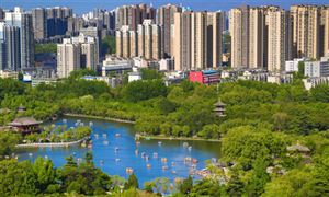 2024散货船行业进出口市场及未来发展趋势、前景预测(图5)