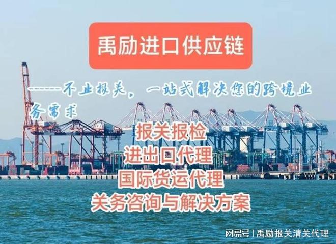 中国报关公司(图1)