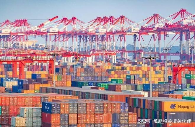 上海报关口岸(图3)