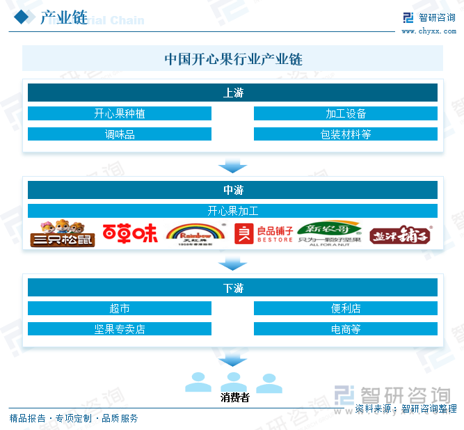 九游会J9：2025年中国开心果行业市场政策、产业链图谱、供需现状、进出口贸易、竞争格局及发展趋势研判：线上销售渠道占比逐年攀升达383%[图](图3)