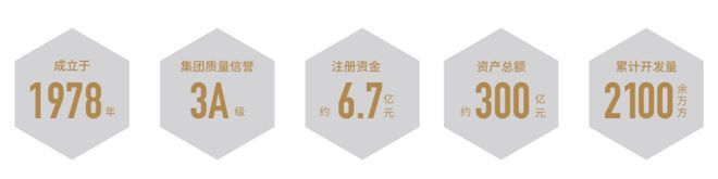九游会J9：聚焦@中环桃源里售楼处发布：中环桃源里引领购房热潮！(图1)
