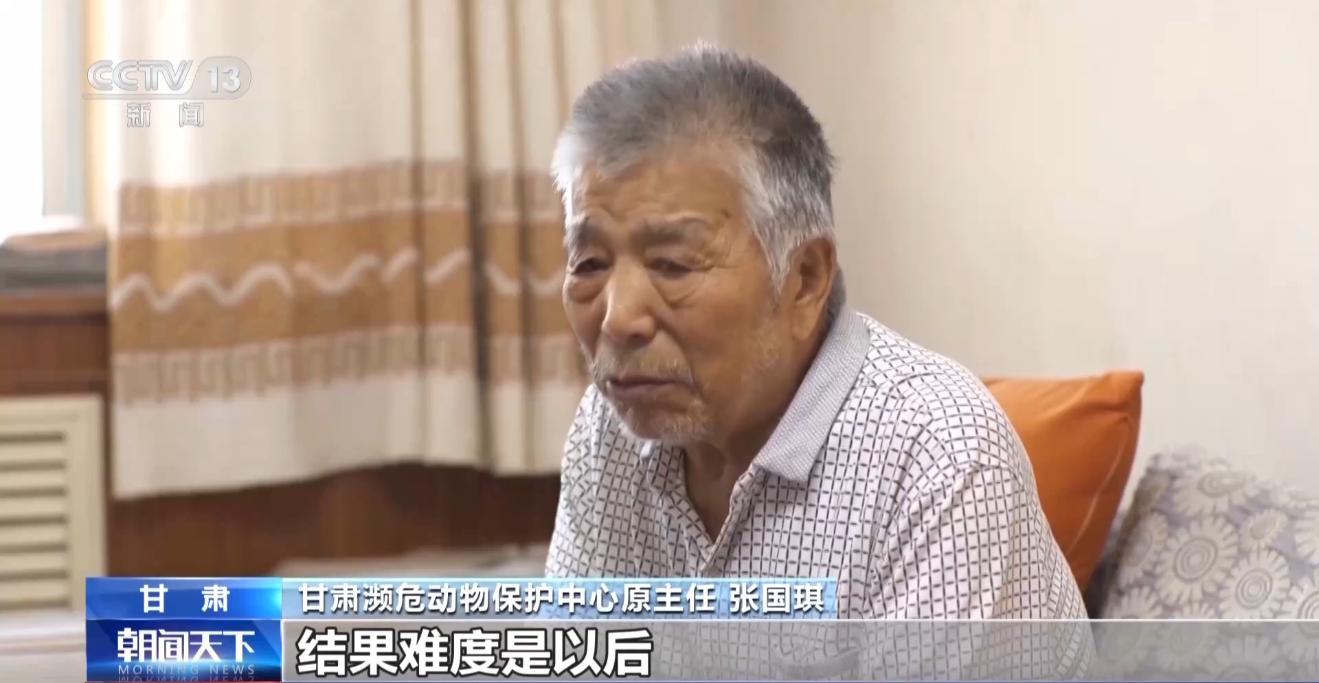 J9九游会：【中央媒体看甘肃】又一批普氏野马将转运从几近灭绝到重生它们经历了什么？(图7)