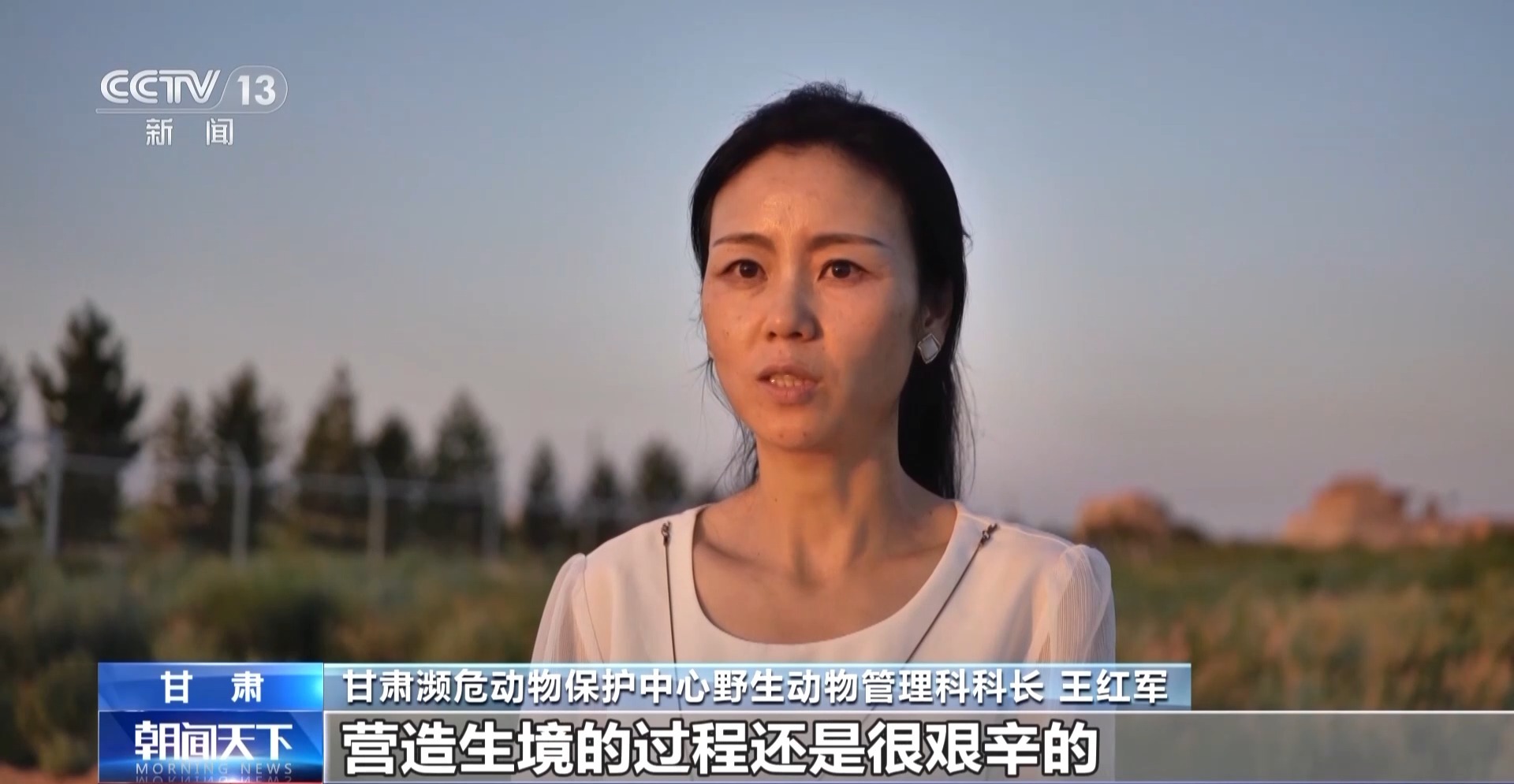 J9九游会：【中央媒体看甘肃】又一批普氏野马将转运从几近灭绝到重生它们经历了什么？(图8)