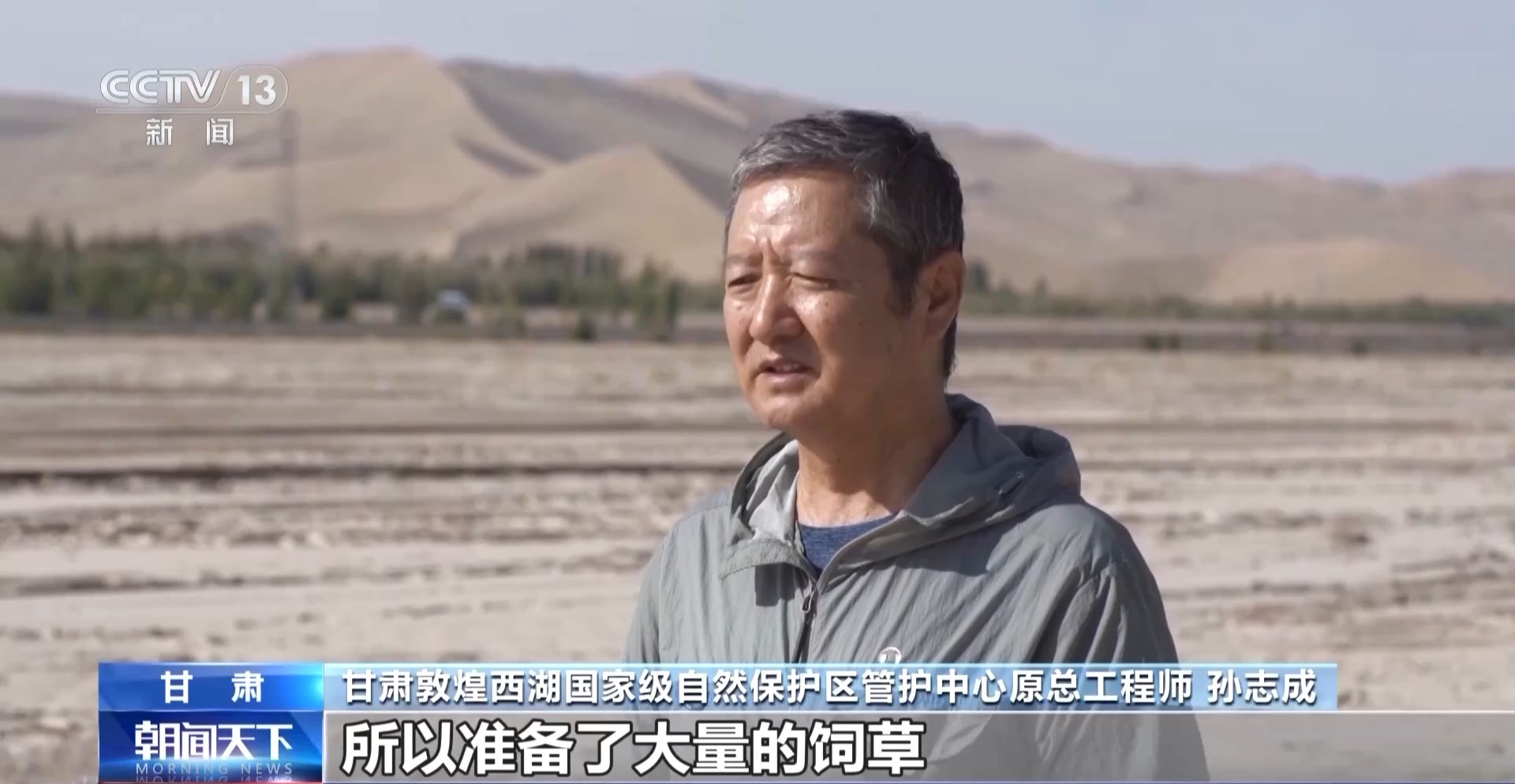 J9九游会：【中央媒体看甘肃】又一批普氏野马将转运从几近灭绝到重生它们经历了什么？(图10)