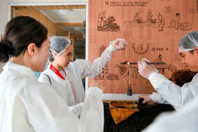 一片黄金叶的“出海经”(图6)