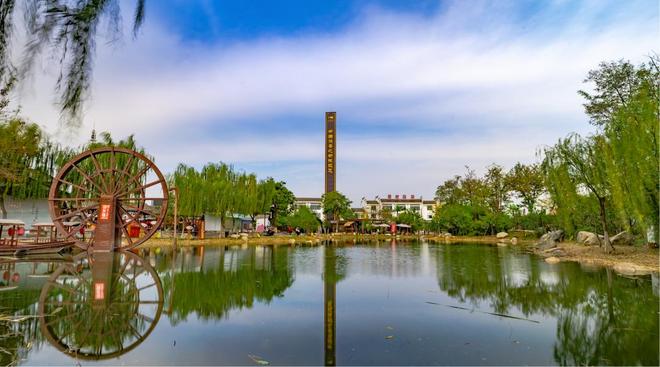 一片黄金叶的“出海经”(图10)