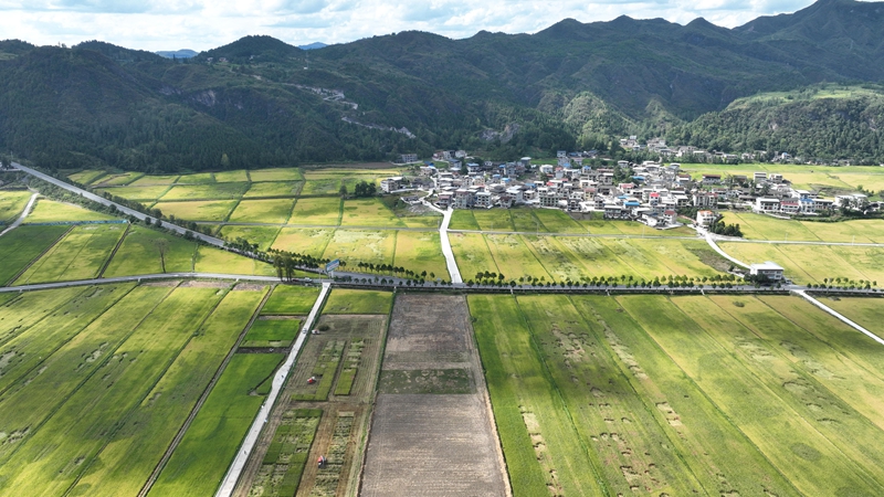 贵州松桃：阡陌焕新颜路畅产业兴(图3)