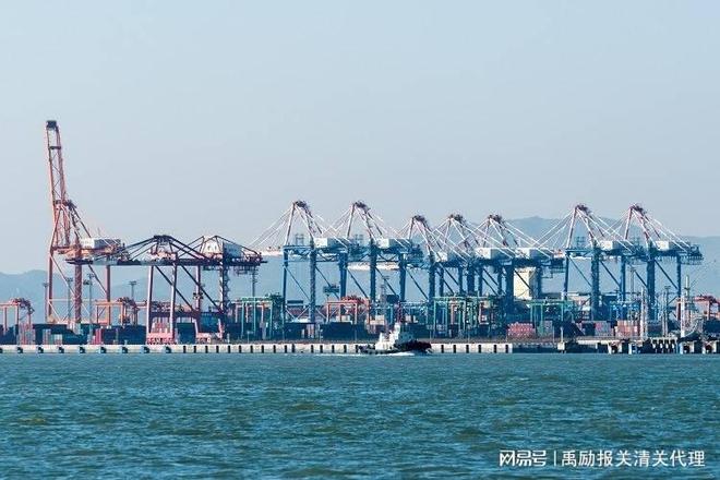 上海进出口公司报关(图2)