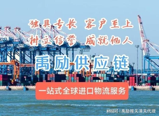 上海进出口公司报关(图3)