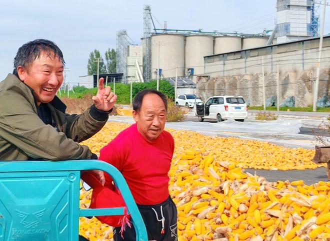 抢收抢烘他们正在全力以赴保“三秋”(图4)
