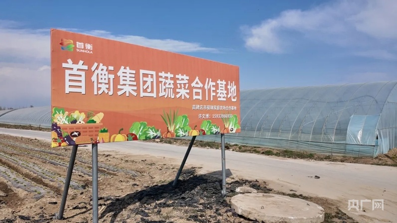 十年铸就“集群”力量首衡重构农批市场新生态(图5)