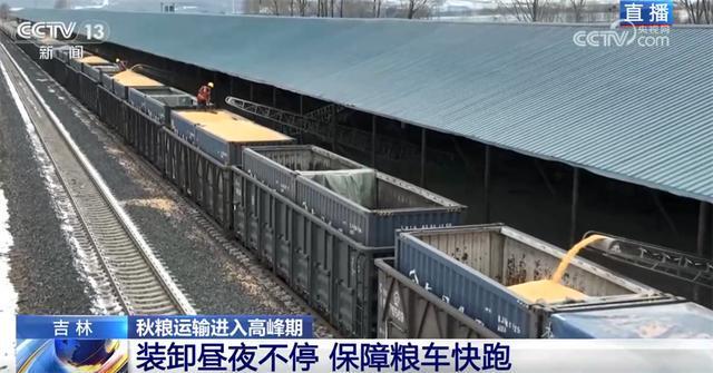 “铁海联运”“黄金水道”按下秋粮运输“加速键”为全国粮食安全筑牢坚实屏障(图3)