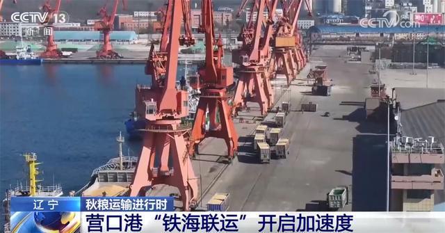 “铁海联运”“黄金水道”按下秋粮运输“加速键”为全国粮食安全筑牢坚实屏障(图5)