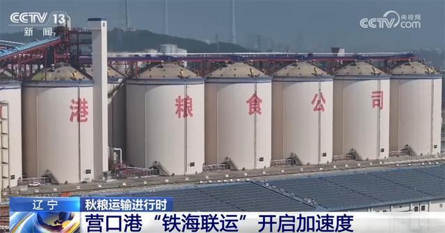 “铁海联运”“黄金水道”按下秋粮运输“加速键”为全国粮食安全筑牢坚实屏障(图6)