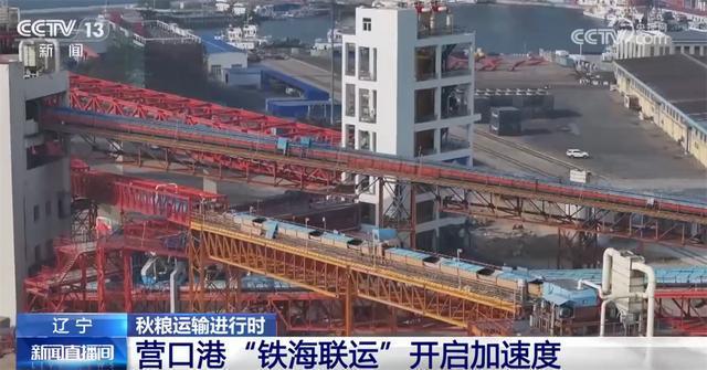 “铁海联运”“黄金水道”按下秋粮运输“加速键”为全国粮食安全筑牢坚实屏障(图7)